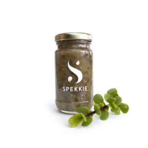 Spekkie Salsa