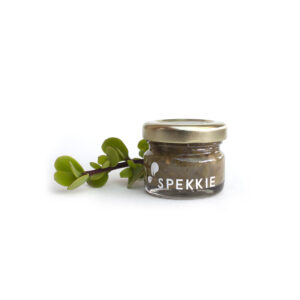 Spekkie Sample Sousie