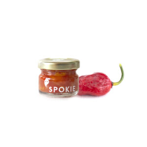 Spokie Sample Salsa