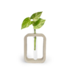 Rectangle Vase