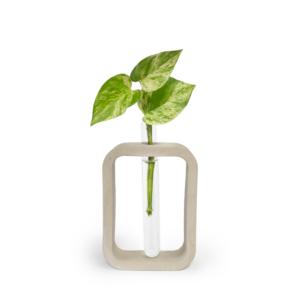 Rectangle Vase
