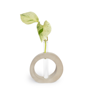 Round Vase